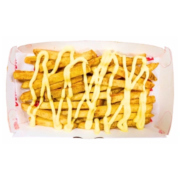 CHEESY FRIES
